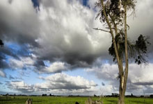 欧冠ds足球是什么？它能为球迷带来哪些独特体验？